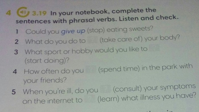 True False task in English