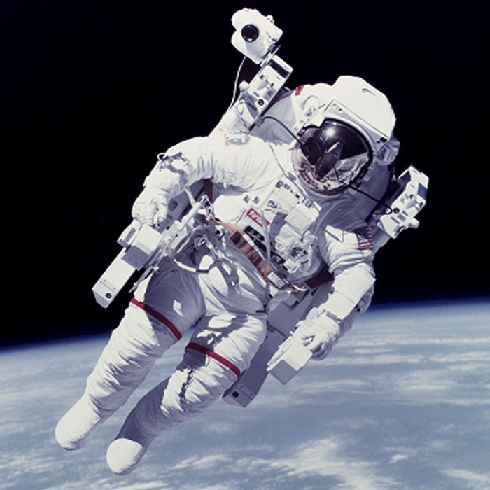 Profession - astronaut
