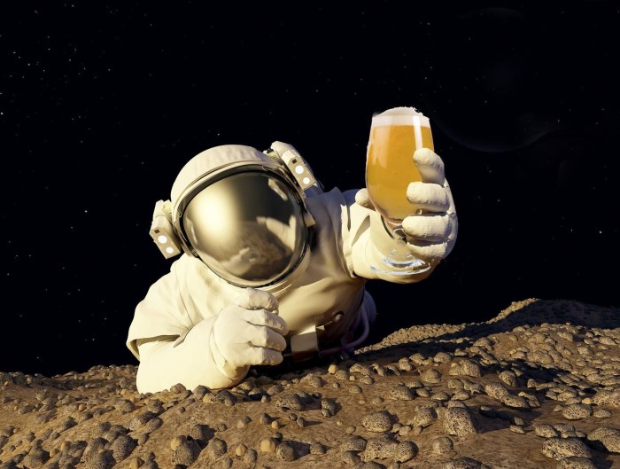 Lonely astronaut
