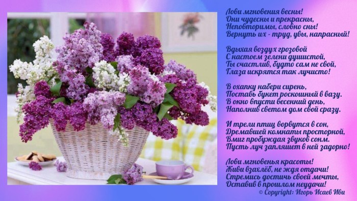 Alena Shnypko
