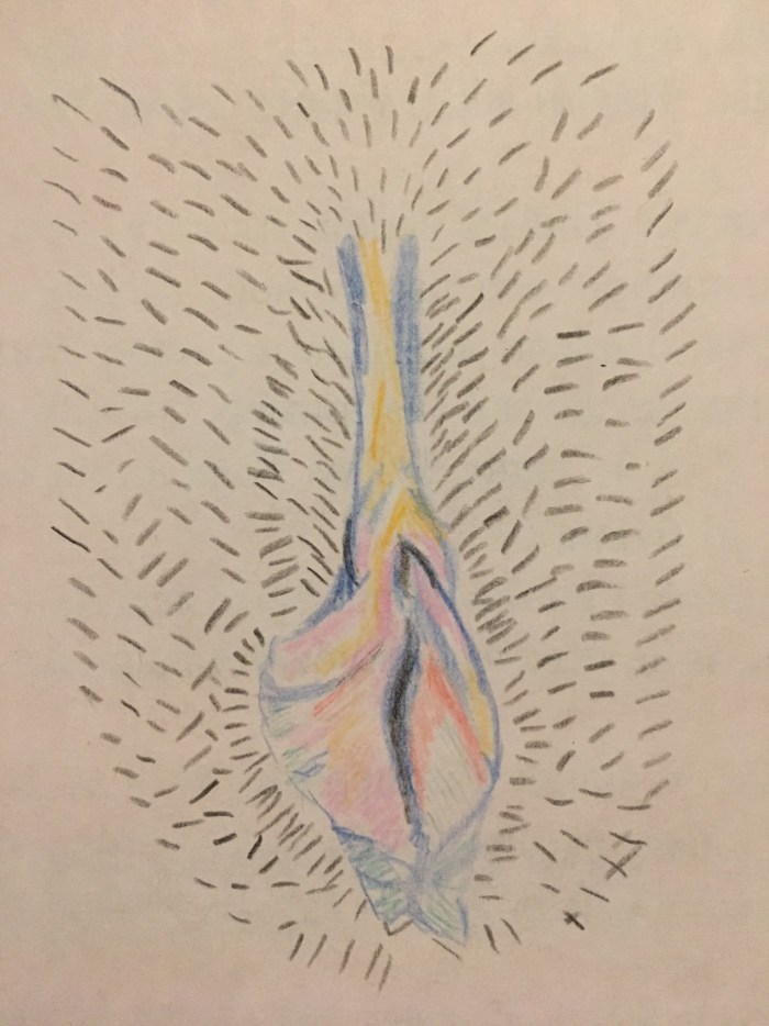 Flowers on the female body