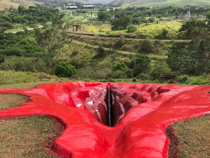 Fruit in the form of women's vagina