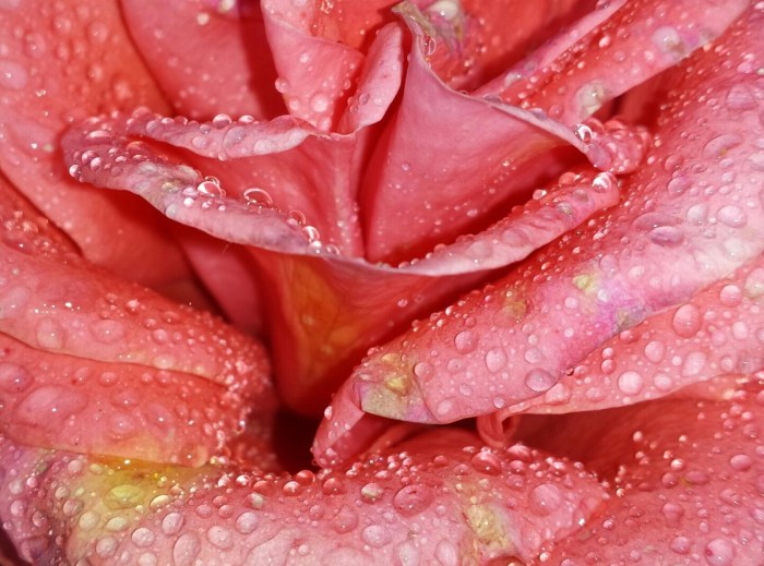 Beautiful sex