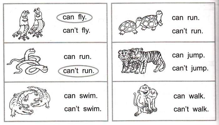 English for preschoolers tasks