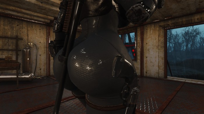 Fallut 4 Vault Meat