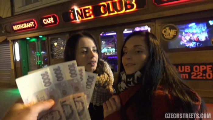 Czech for money