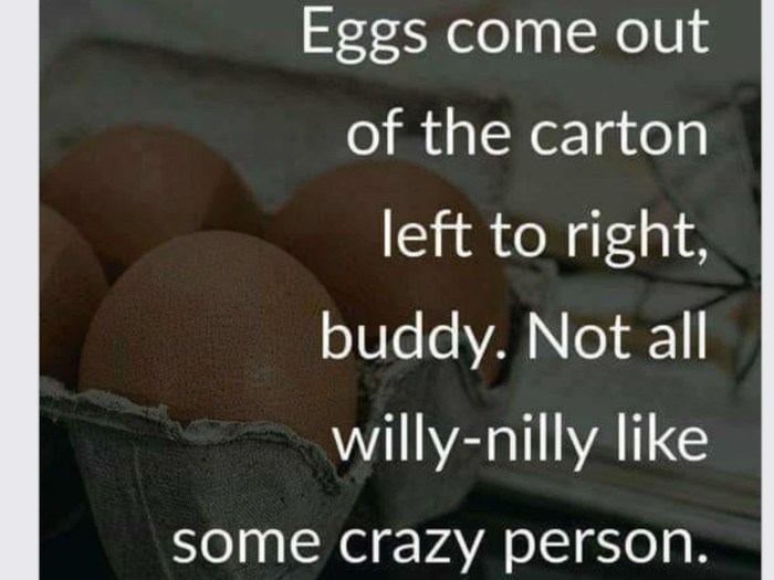 Willy Nilly poem