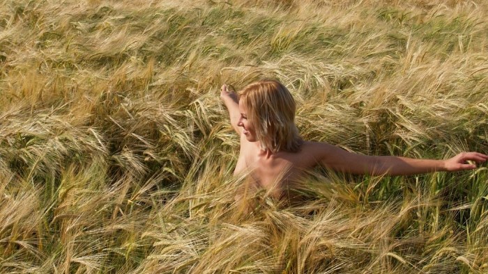 Nude girls in wheat field