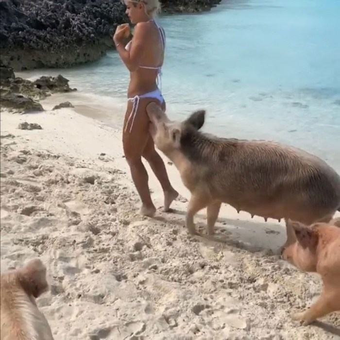 Body Work
