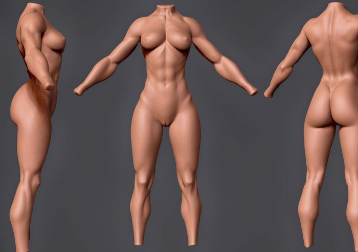 Pornographic anime 3D