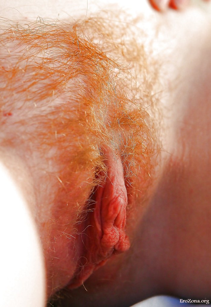 Red -haired hairy crotch