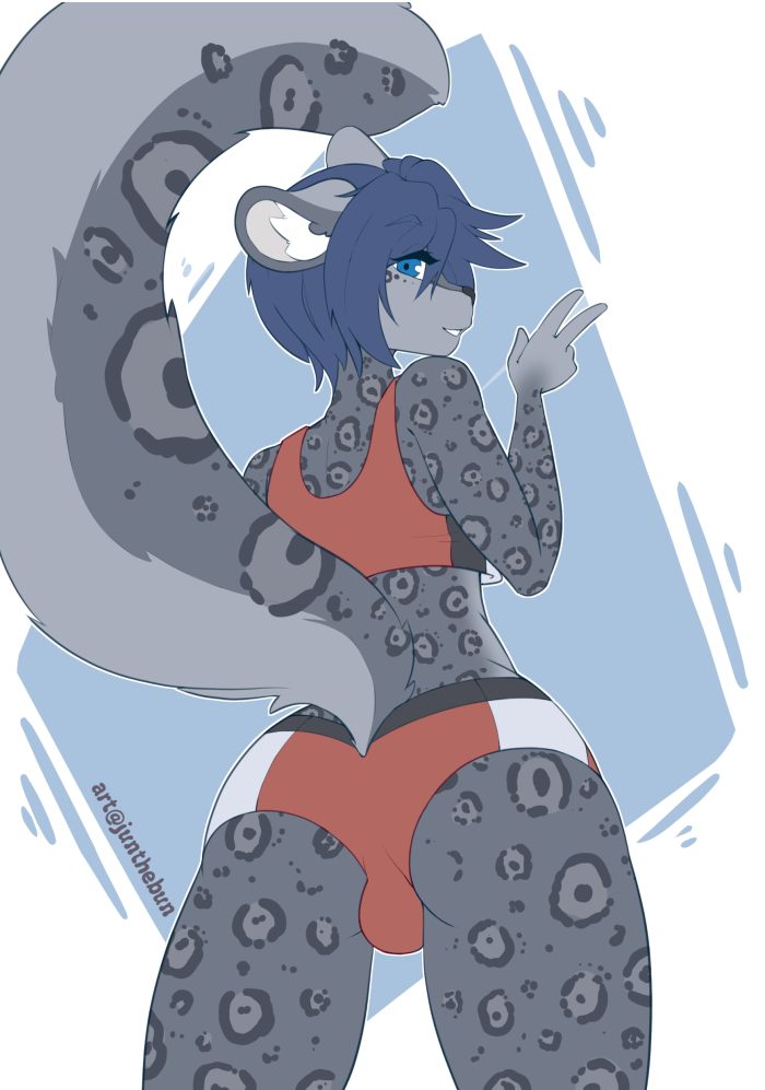 Spacepoptart Furri