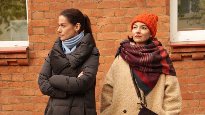 Marya Sergeevna Shvetsova Secrets of the investigation