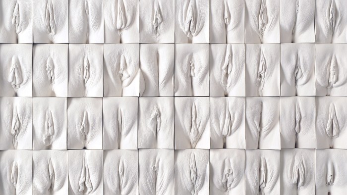 Vulva in excellent quality different types