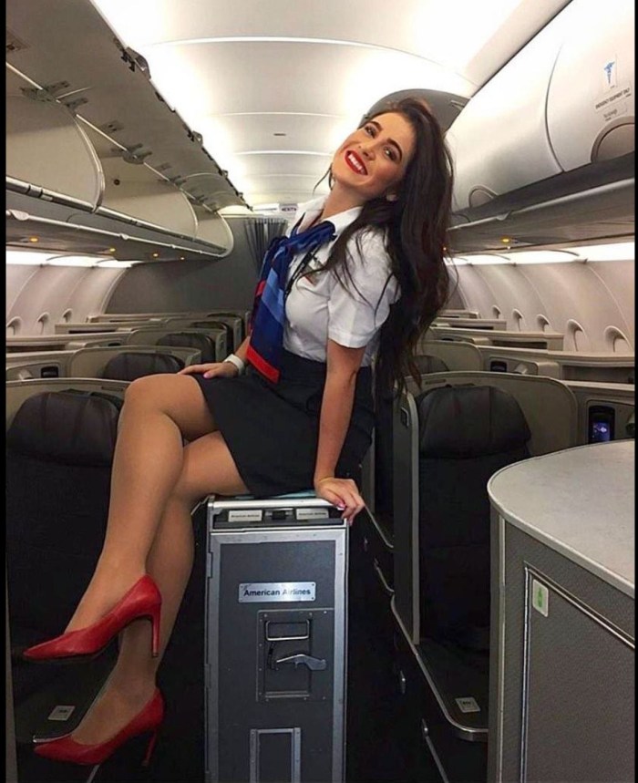 Sexy stewardesses