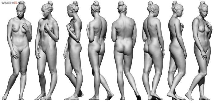 Anatomy nude with age