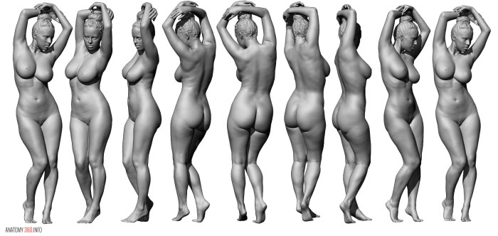 Naked body of an anatomy woman