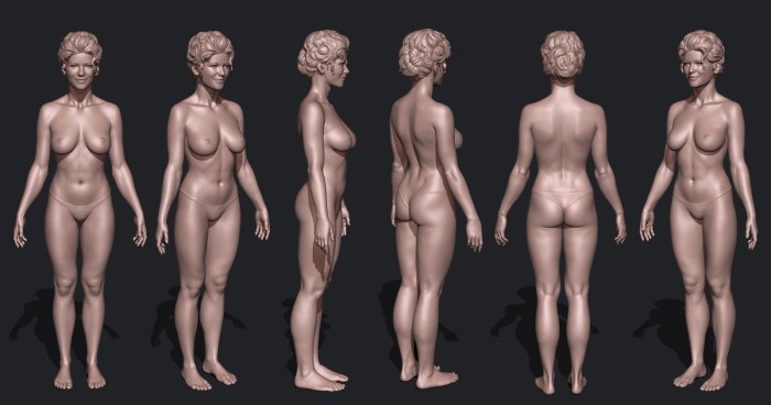 The bodies of a woman nude anatomy