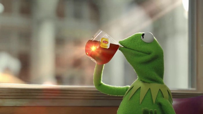 Frog Cermit with tea