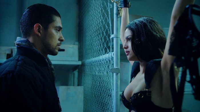 Erotic scenes from the Grimm series