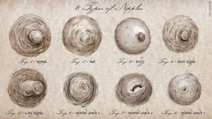 Forms of the nipples
