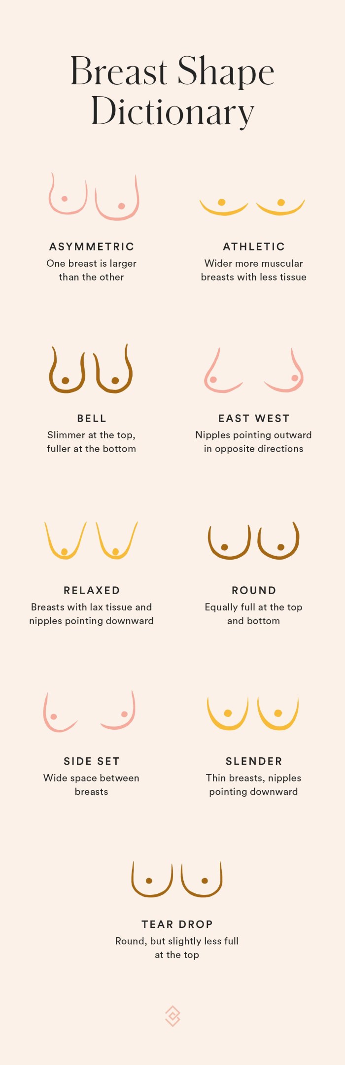 The average form of female breast
