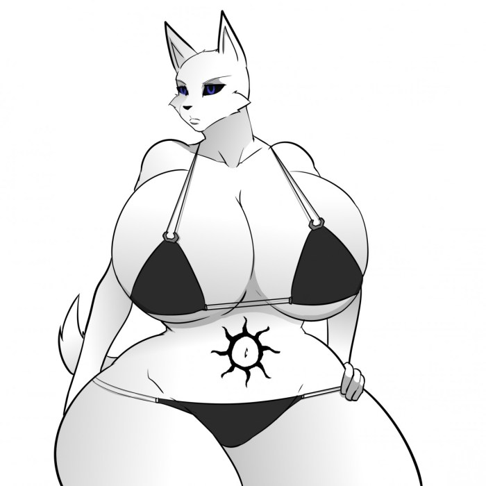The triangular shape of the chest
