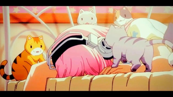 The cat hugs