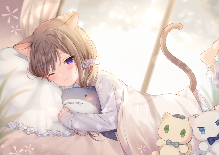 A cat in a blanket