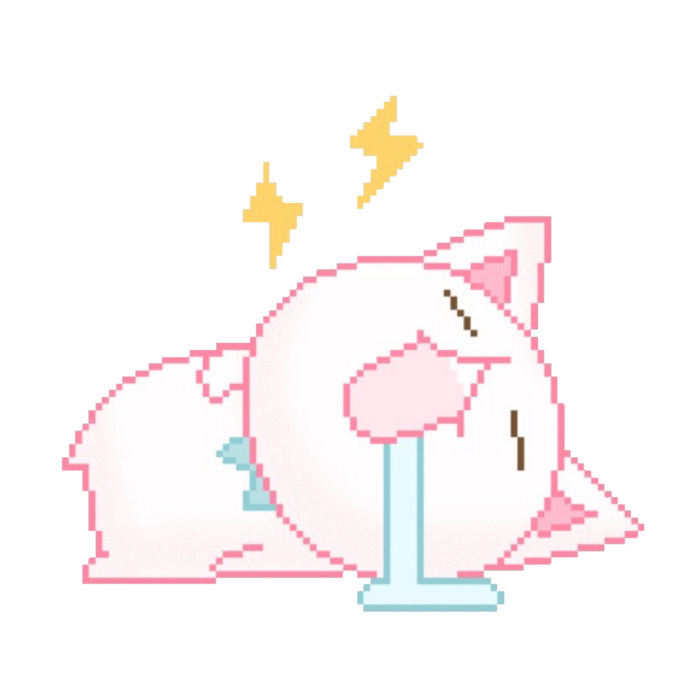 The cat woke up
