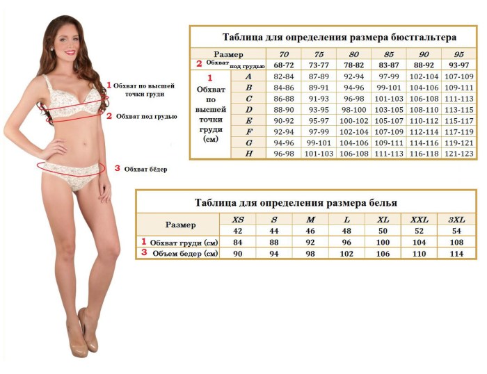 Dimensional grid of a female breast