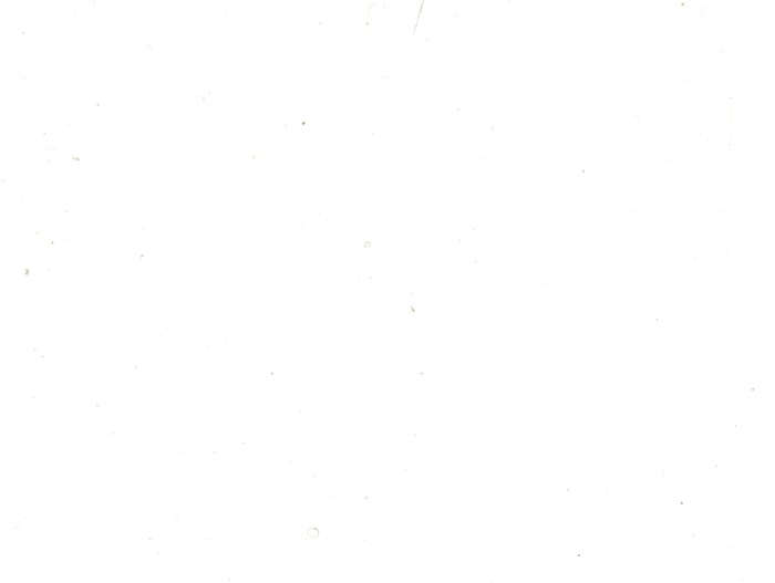 Wallpaper on the phone is white
