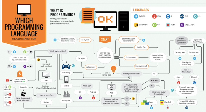 Scheme of learning programming language