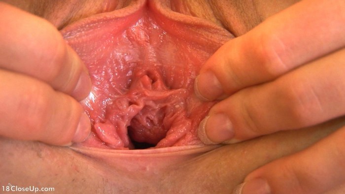 Naked pregnant vagina