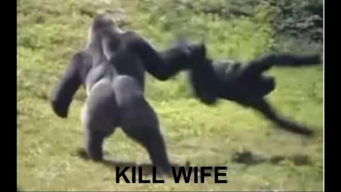 Meme pussy in the jungle original