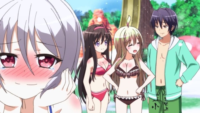Anime curse of the multi -advantage
