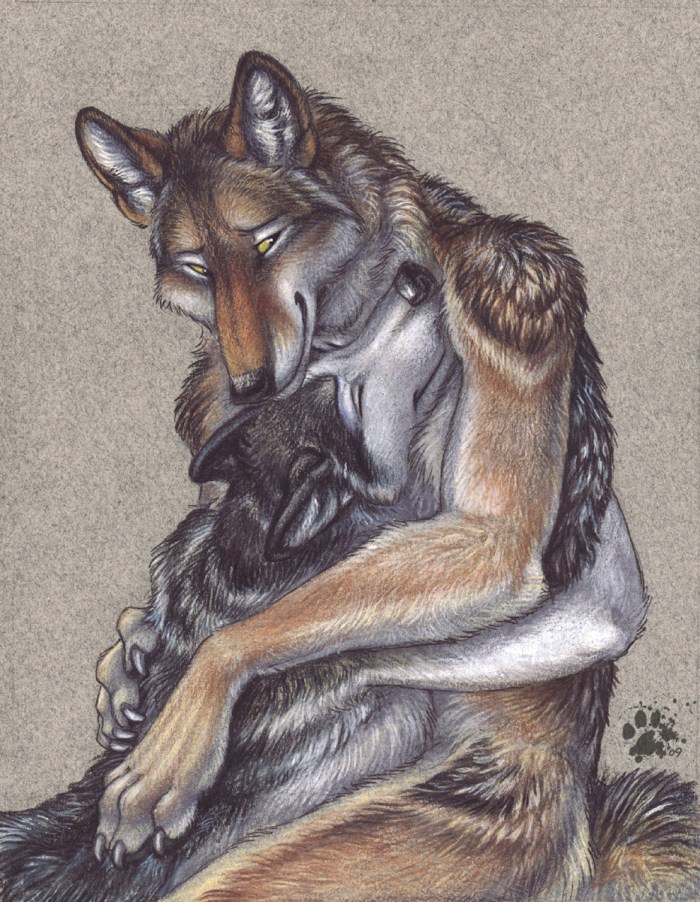 Love Wolf and Fox