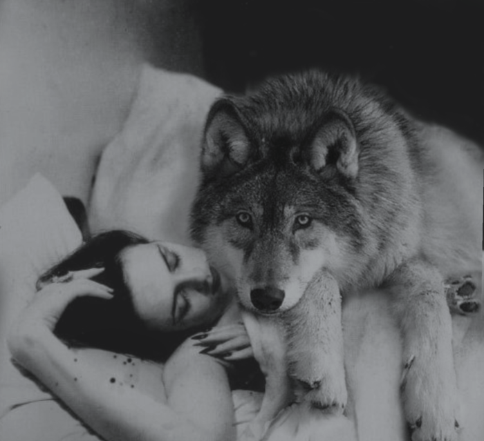 The wolf hugs