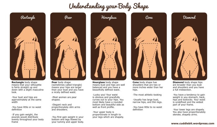 Types of physique in English