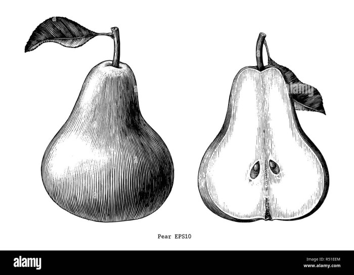 Pear Shape Body What to Wear