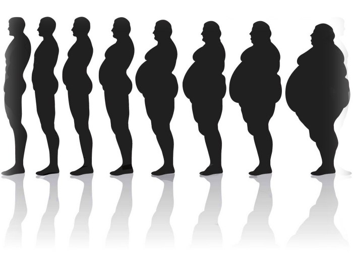 BMI index