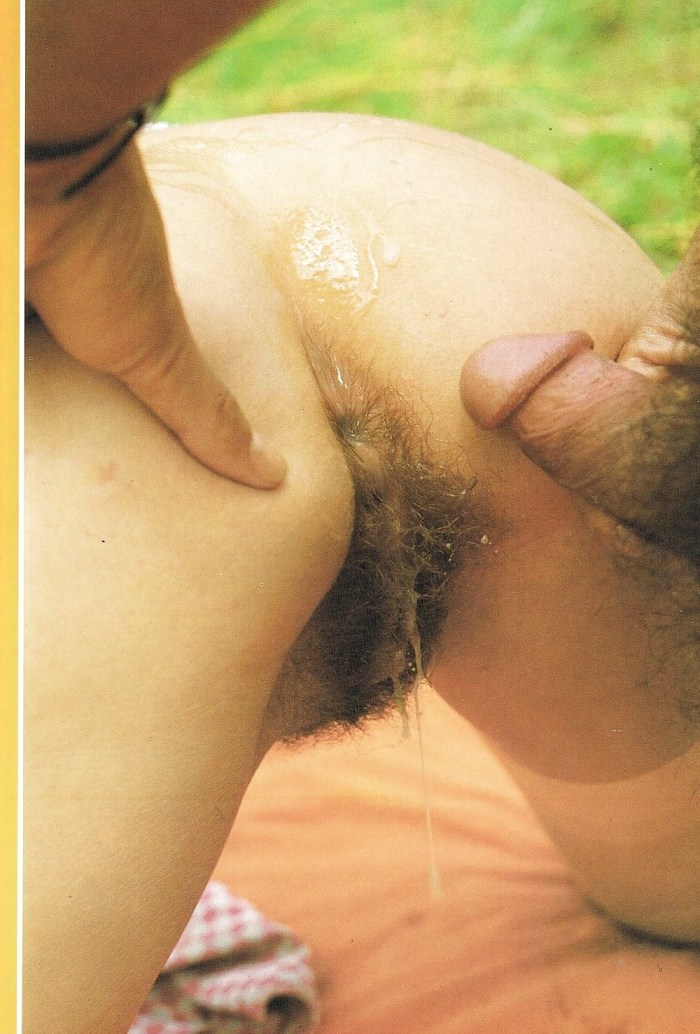 Member in Hairy Vagina Private