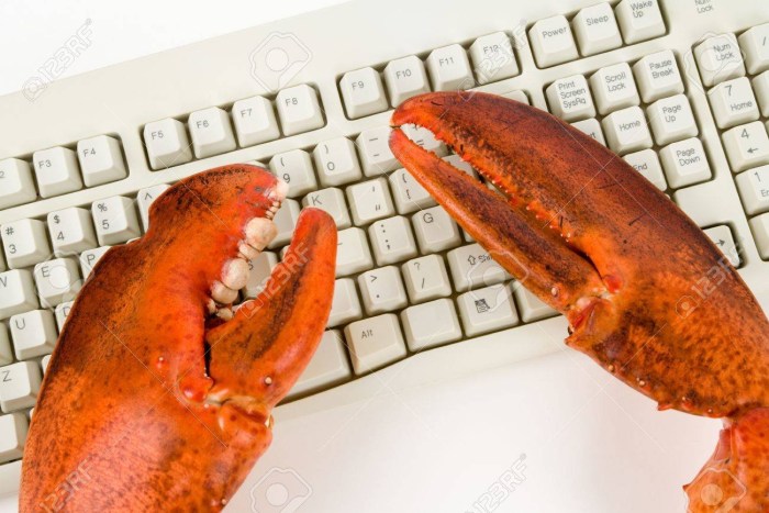 Crab on the palm tree