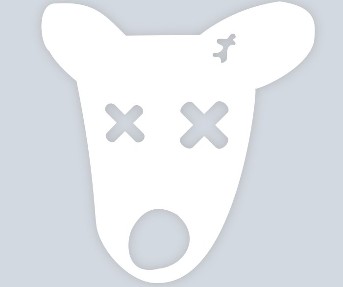 Photo of the remote page of VK