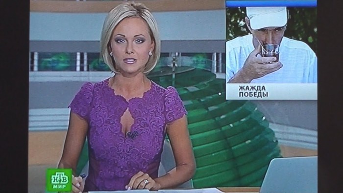 Elena Vinnik NTV
