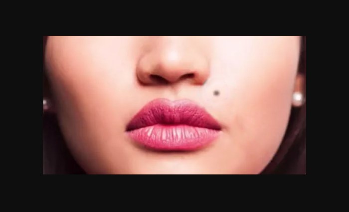 Celebrities with a mole over their lip