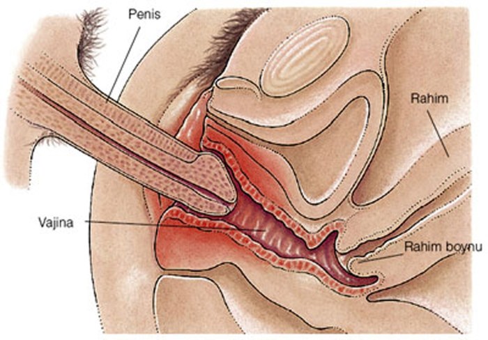 Vagina Theen Baby Africa