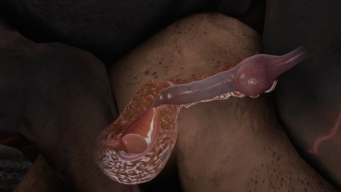 Beautiful fucking fuck