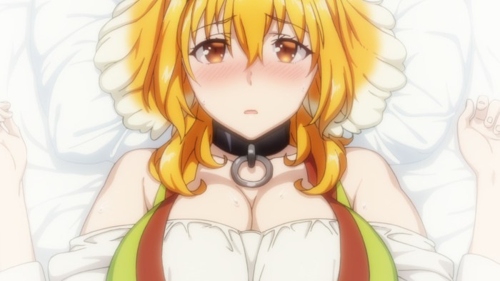 ISEKAI HAREM Anime