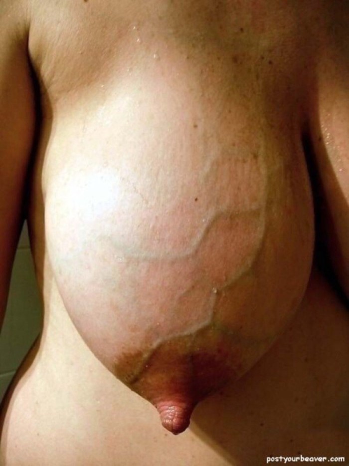 Big milk breasts with veins